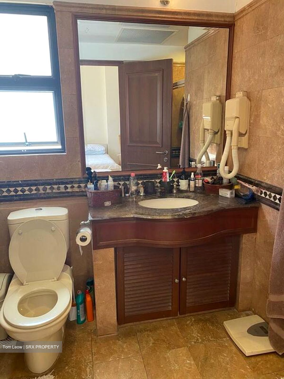 Dover Parkview (D5), Condominium #482749631